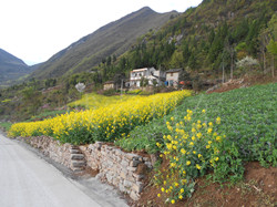 �人�����⳵�������ɽ·С��